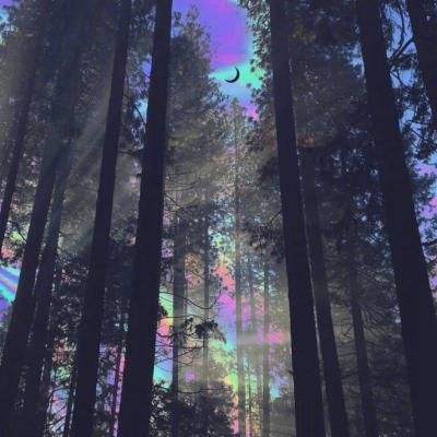 北单足球比赛结果sp值截图