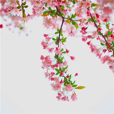 北单足球比赛结果sp值